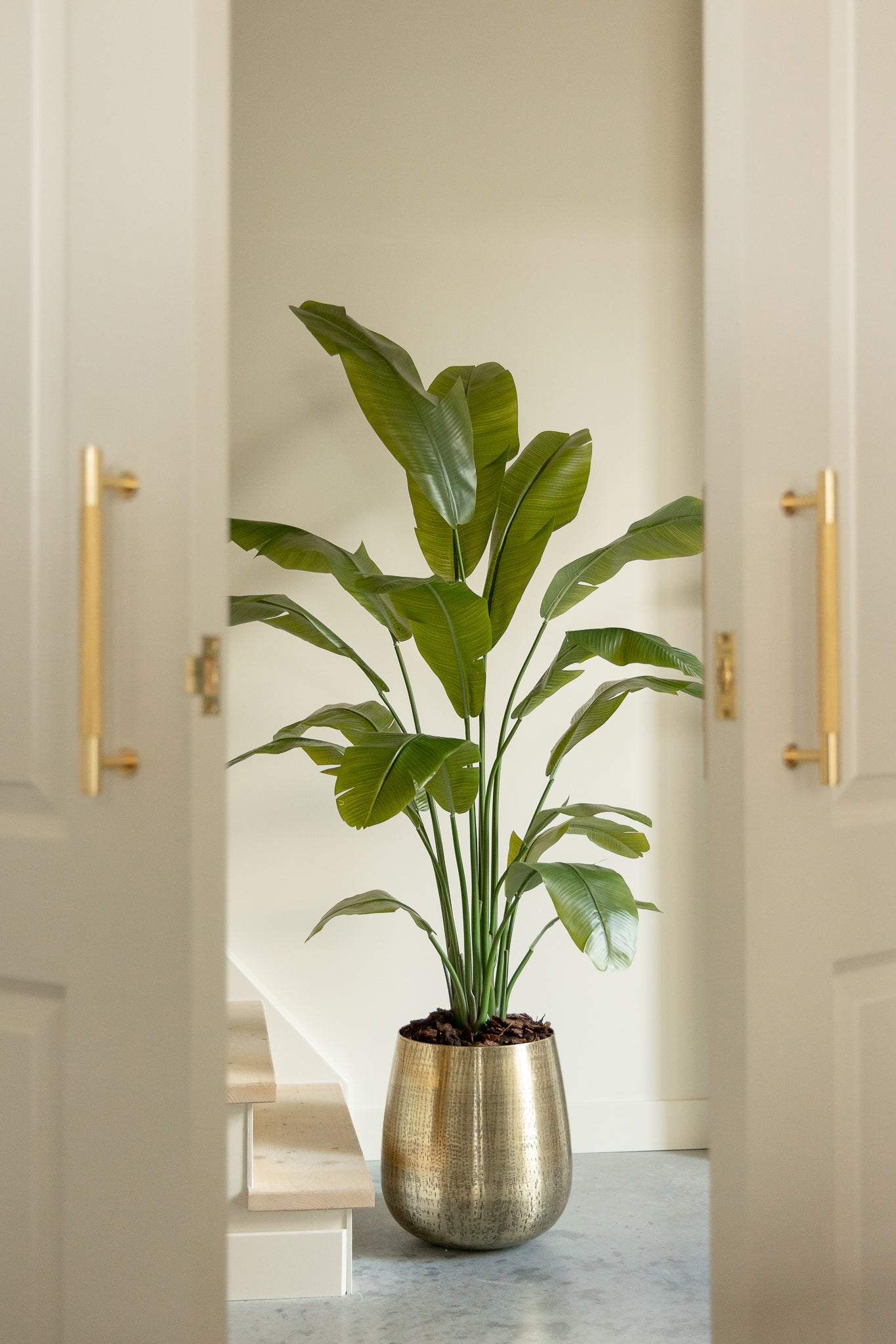 Plante Artificielle Strelitzia 180 cm Deluxe