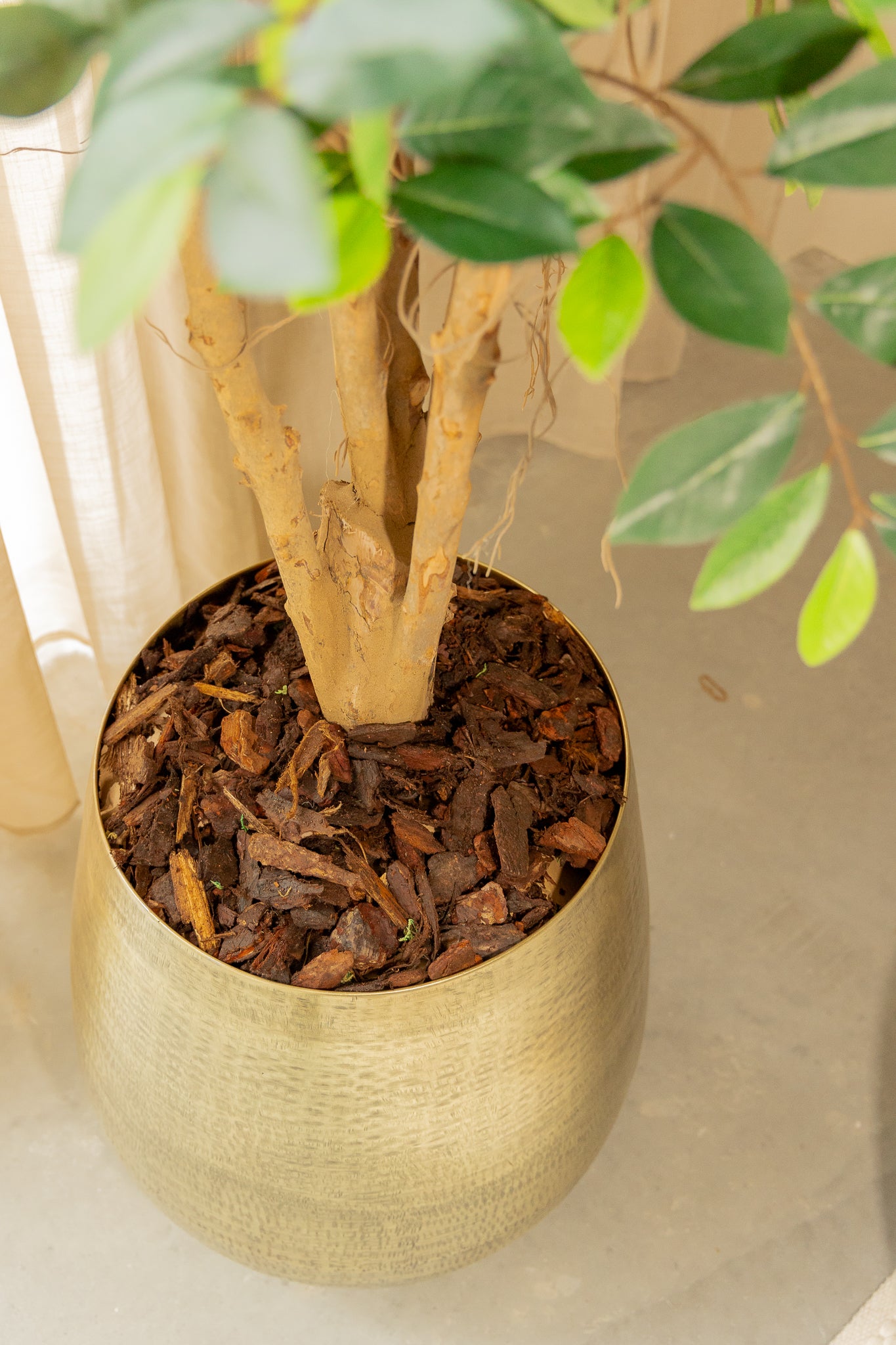 Détails du Pot de fleur Doré 50x50 cm (métal)