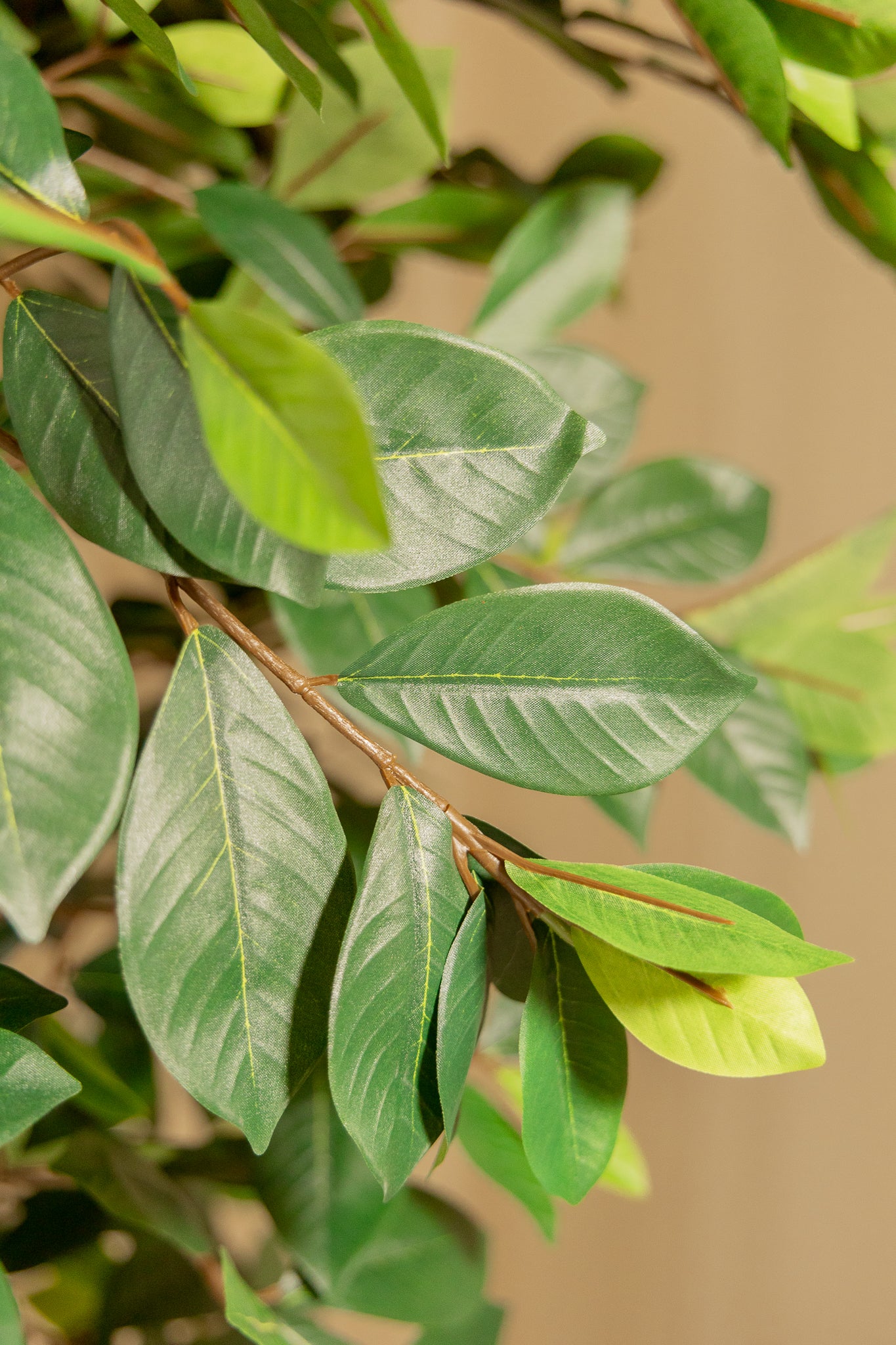 Ficus artificiel 180 cm