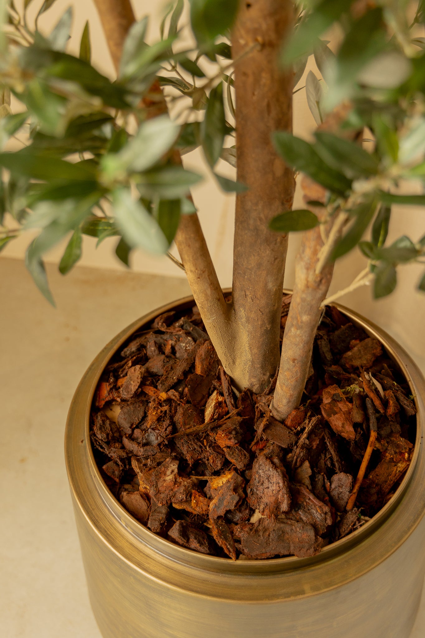 Détails du 10 litres Écorce d’Arbre Française