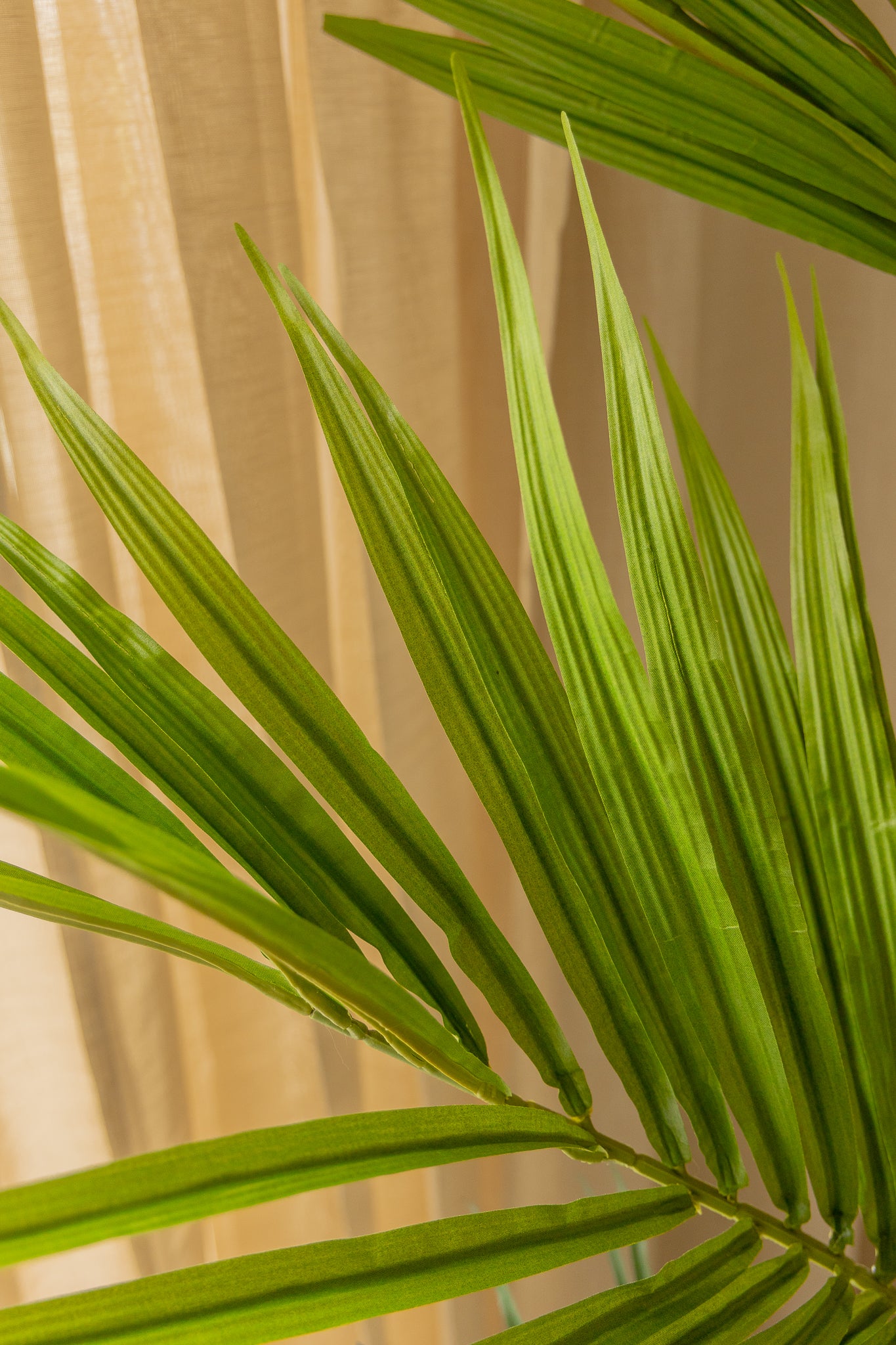 Détails du Palmier Kentia Artificiel 180cm