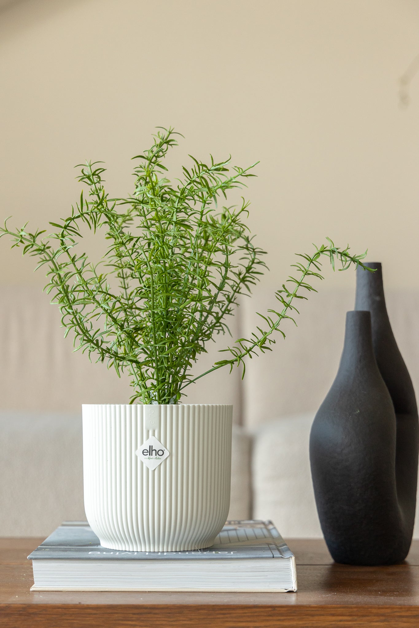 Plante Artificielle Thym 25 cm