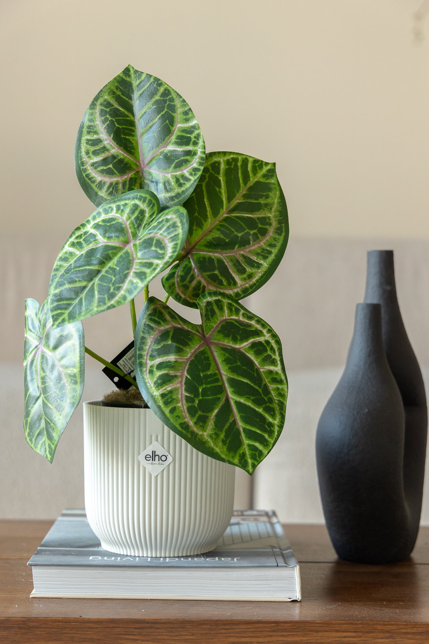 Plante Artificielle Calathea 30 cm