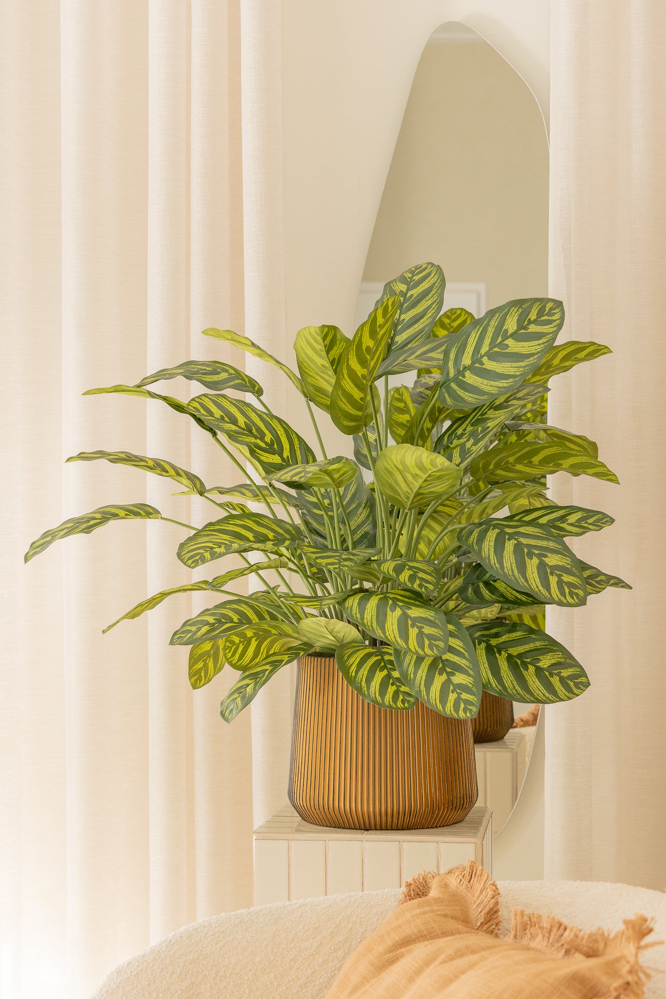 Calathea Artificielle 75cm