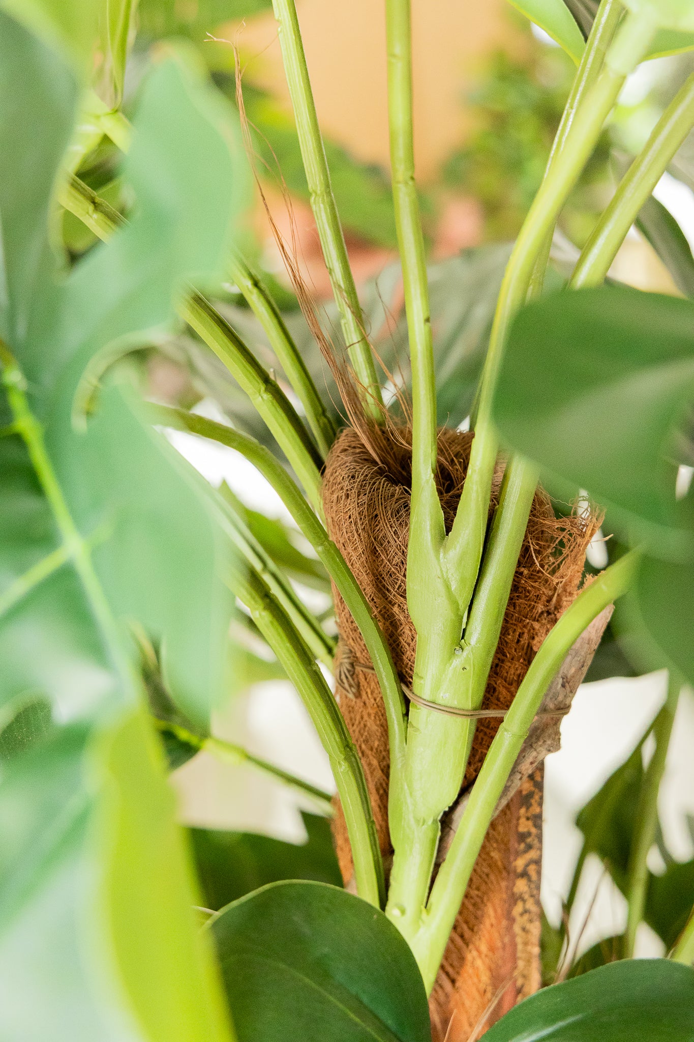 Monstera Artificielle 120cm