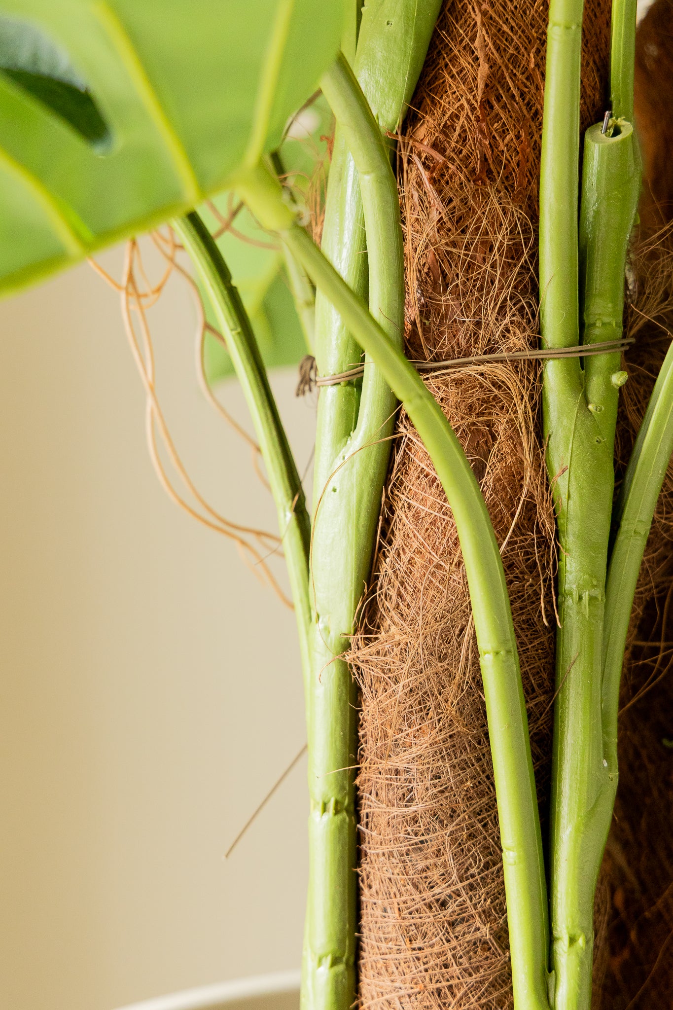 Monstera Artificielle 120cm