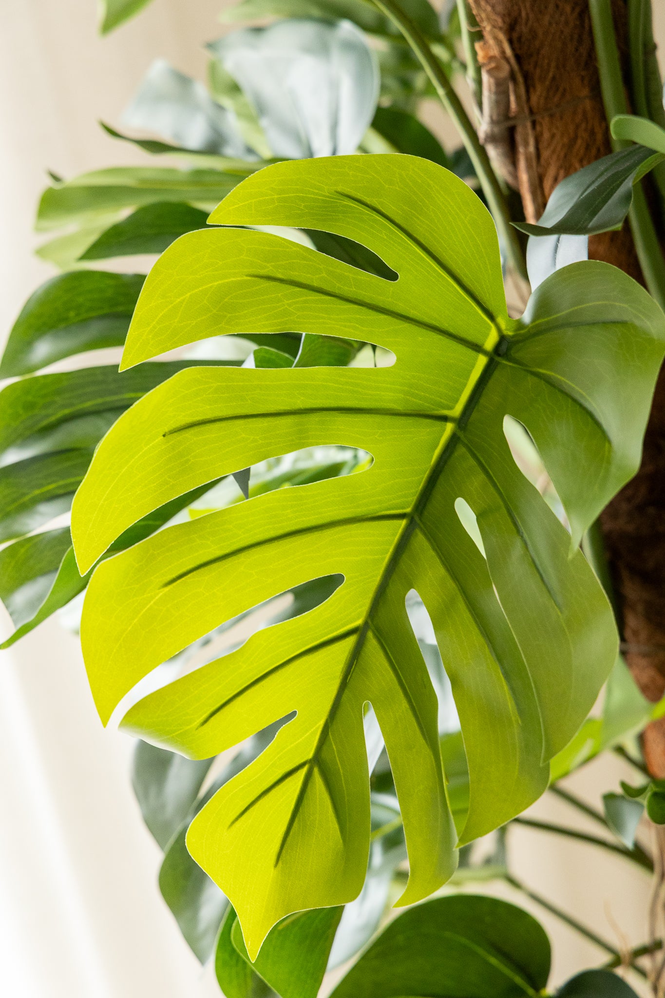 Monstera Artificielle 120cm