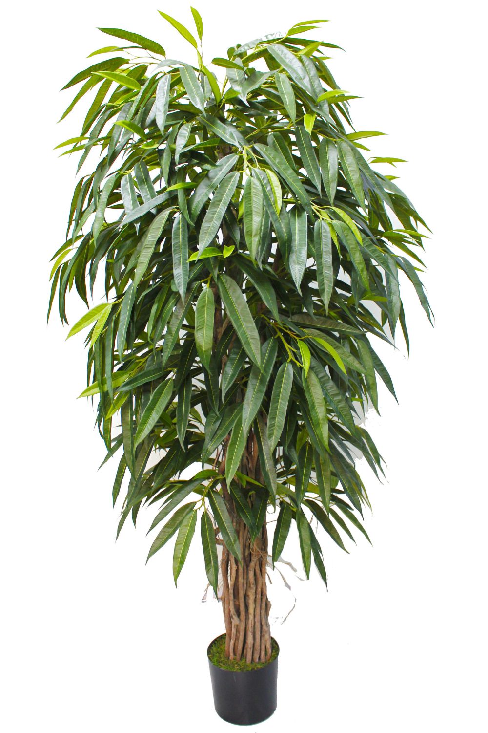 Plante Artificielle Longifolia 180 cm