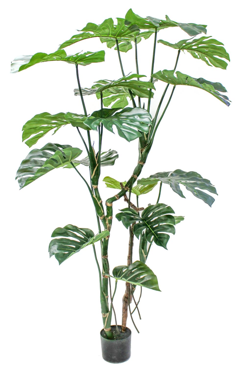 Monstera Artificielle 160 cm