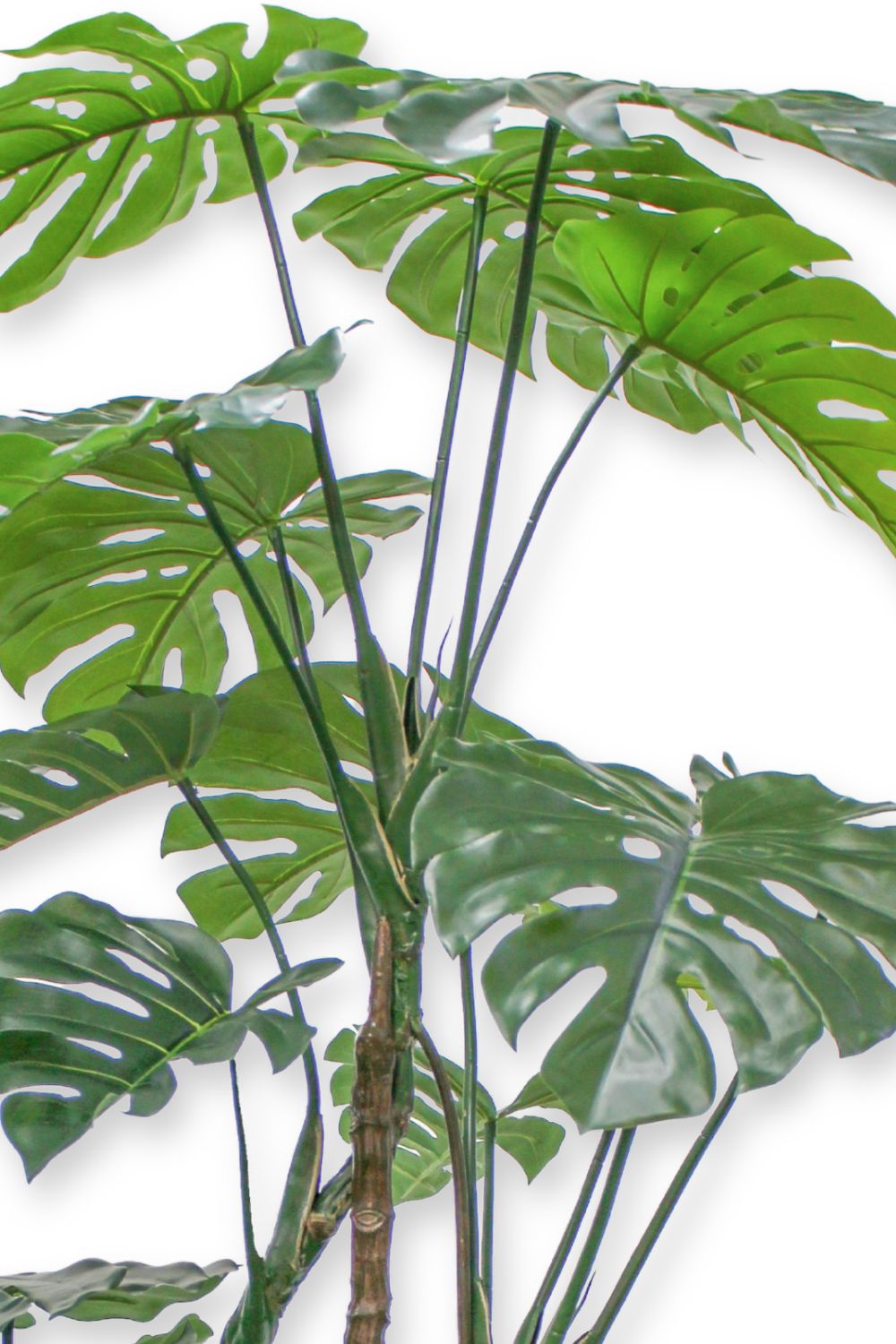 Détails des feuilles de la Monstera Artificielle 180cm