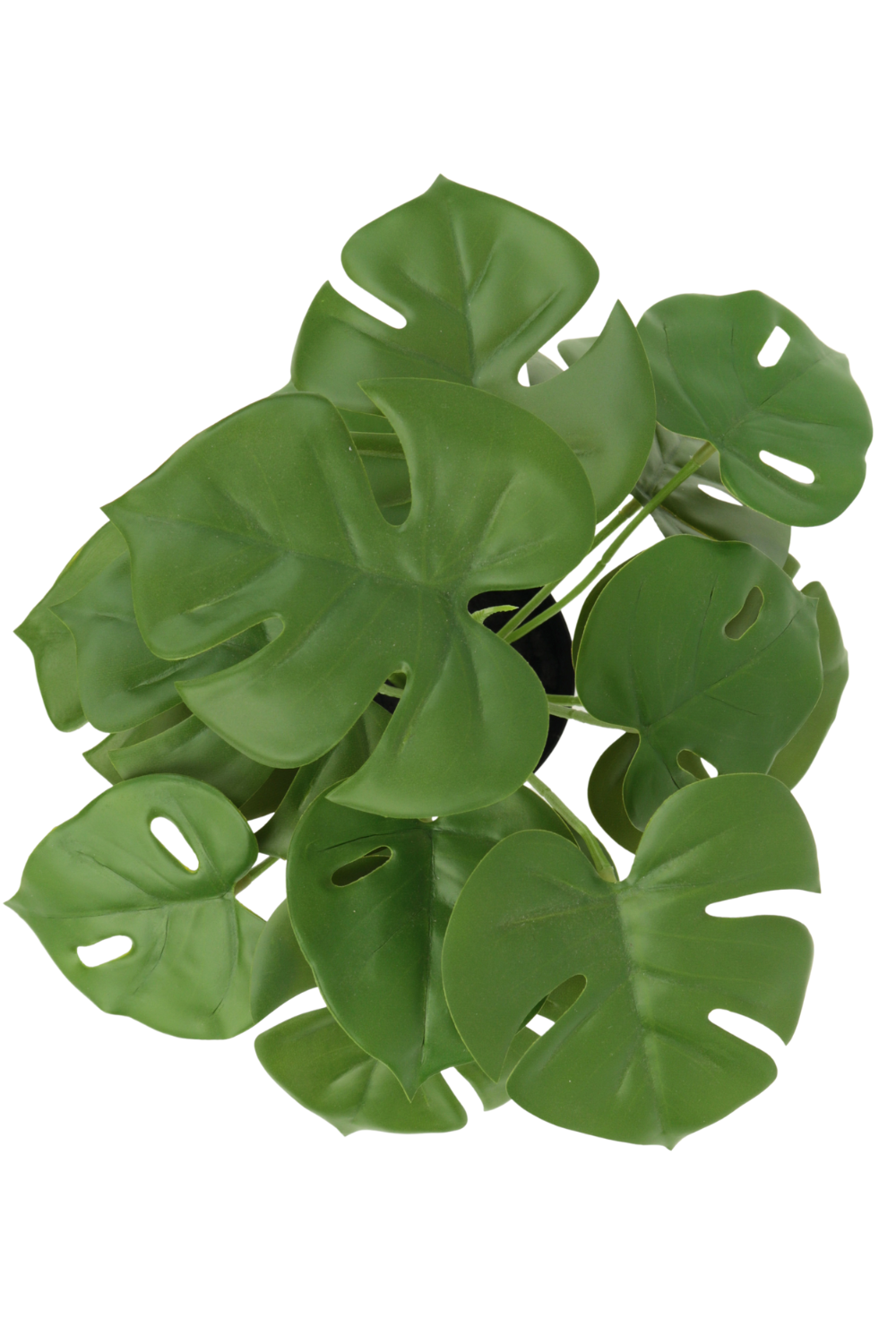 Vue de dessus de la Monstera Artificielle 30cm