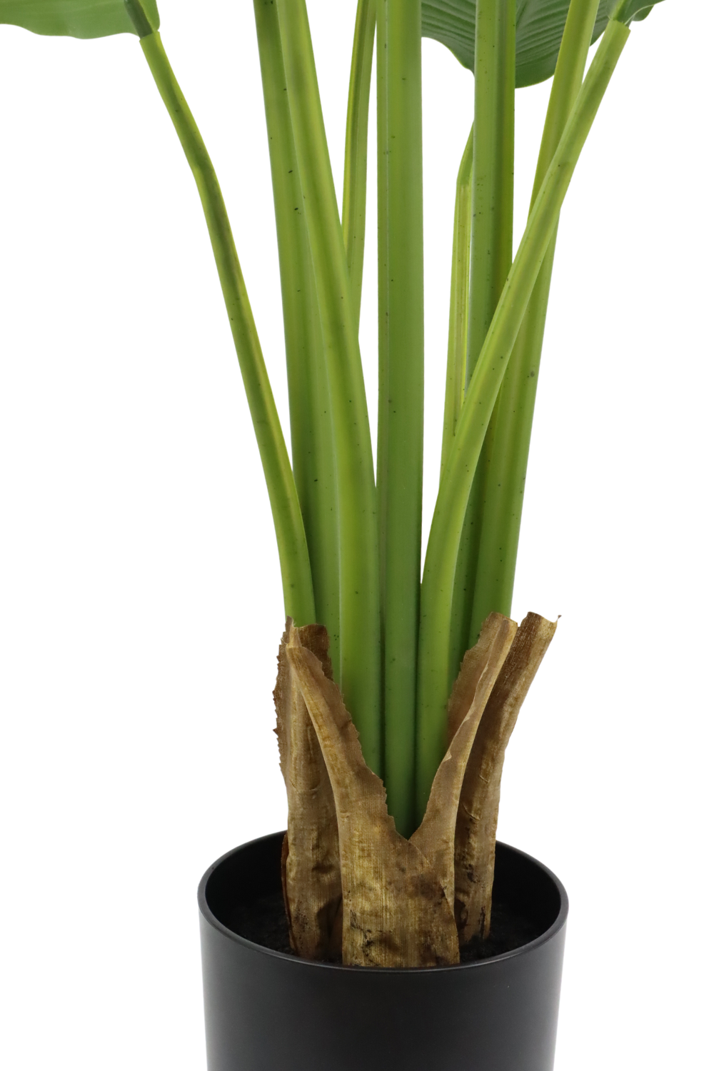 Vue inférieure de la Strelitzia Artificielle 120cm
