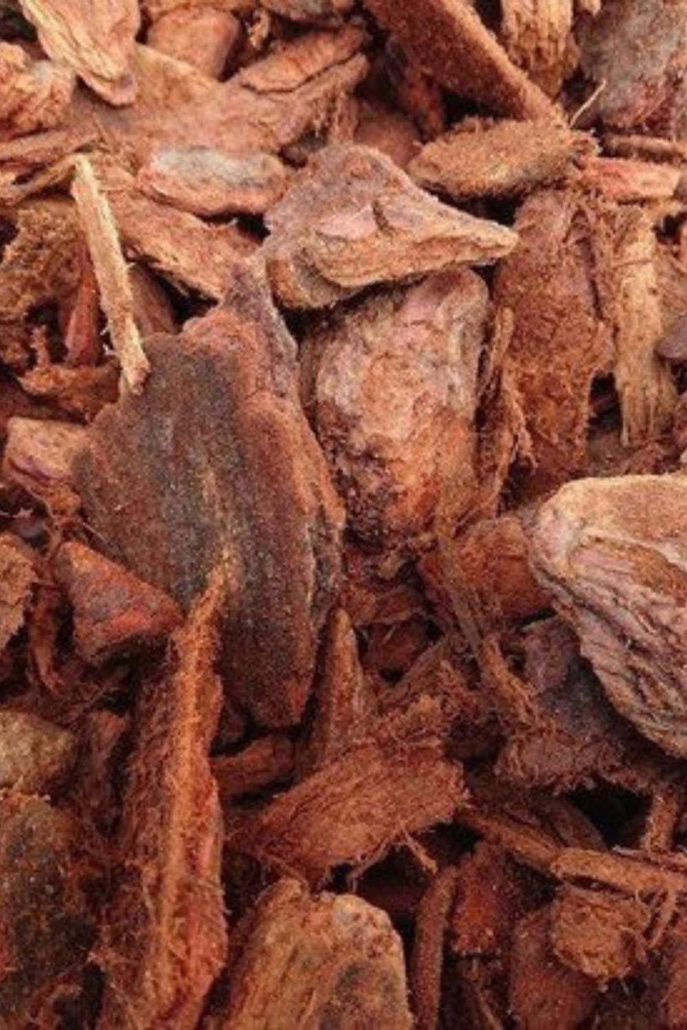 10 litres Écorce d’Arbre Française