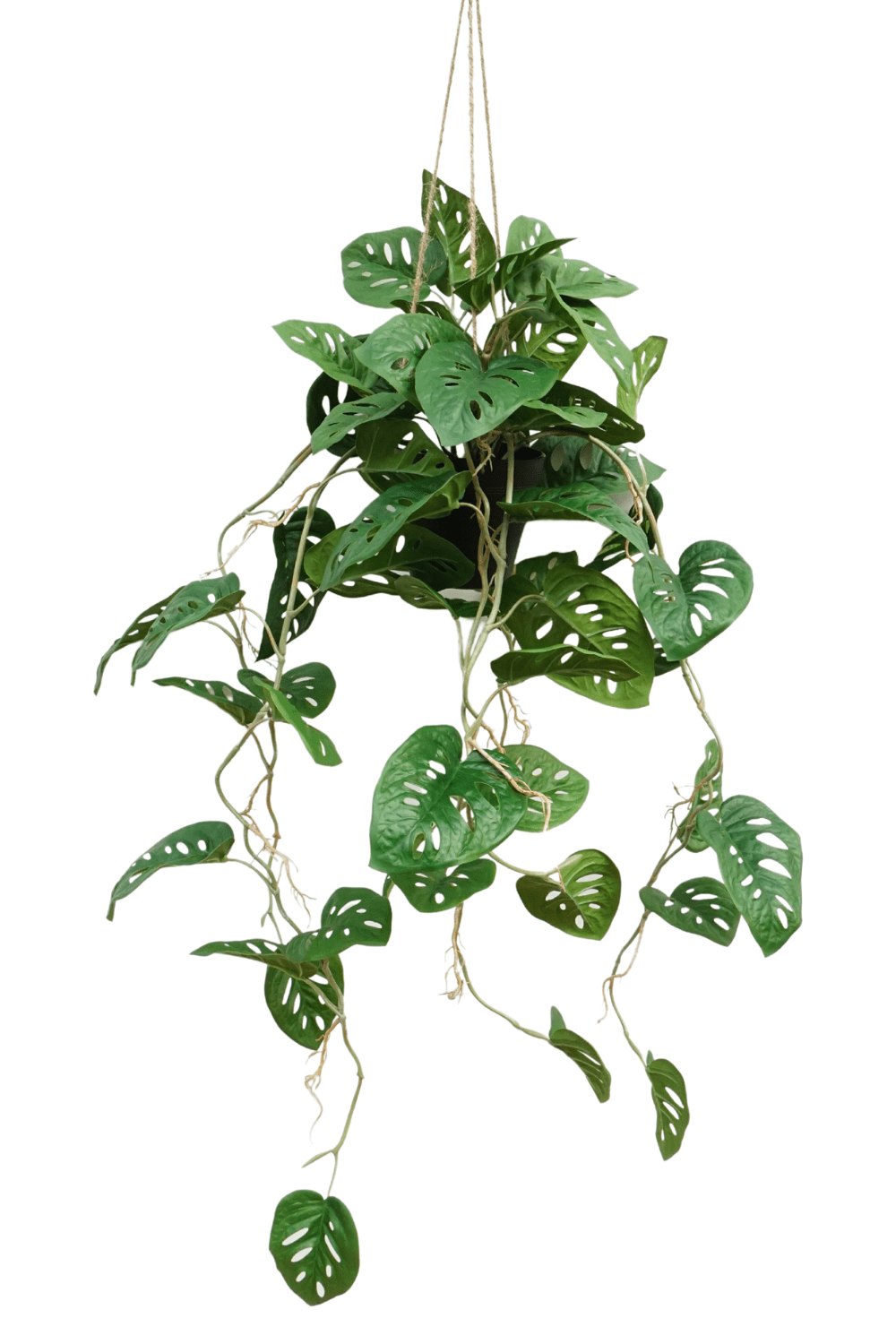 Monstera Monkey Bush plante artificielle suspendue 95 cm