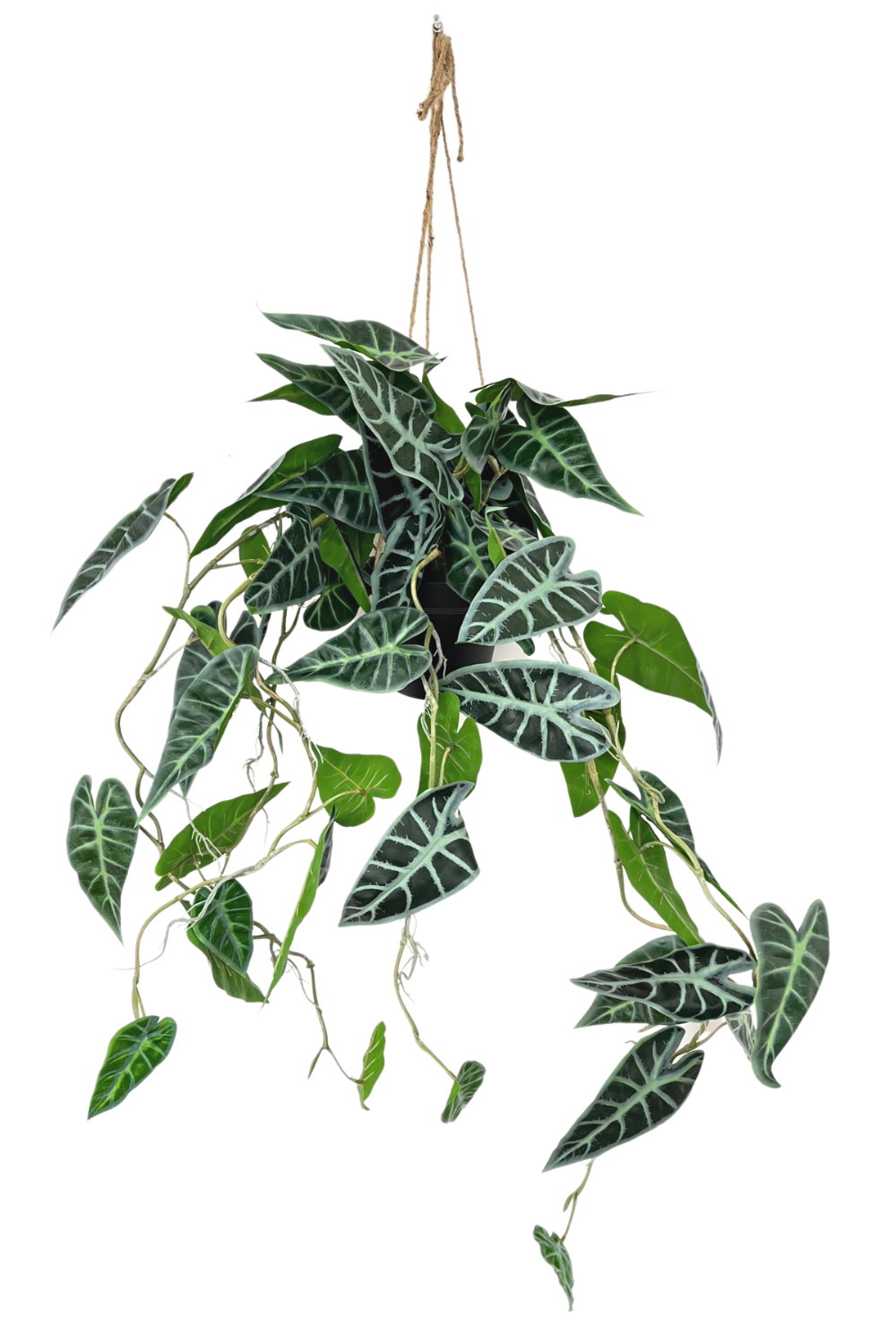 Plante artificielle suspendue Caladium 95 cm
