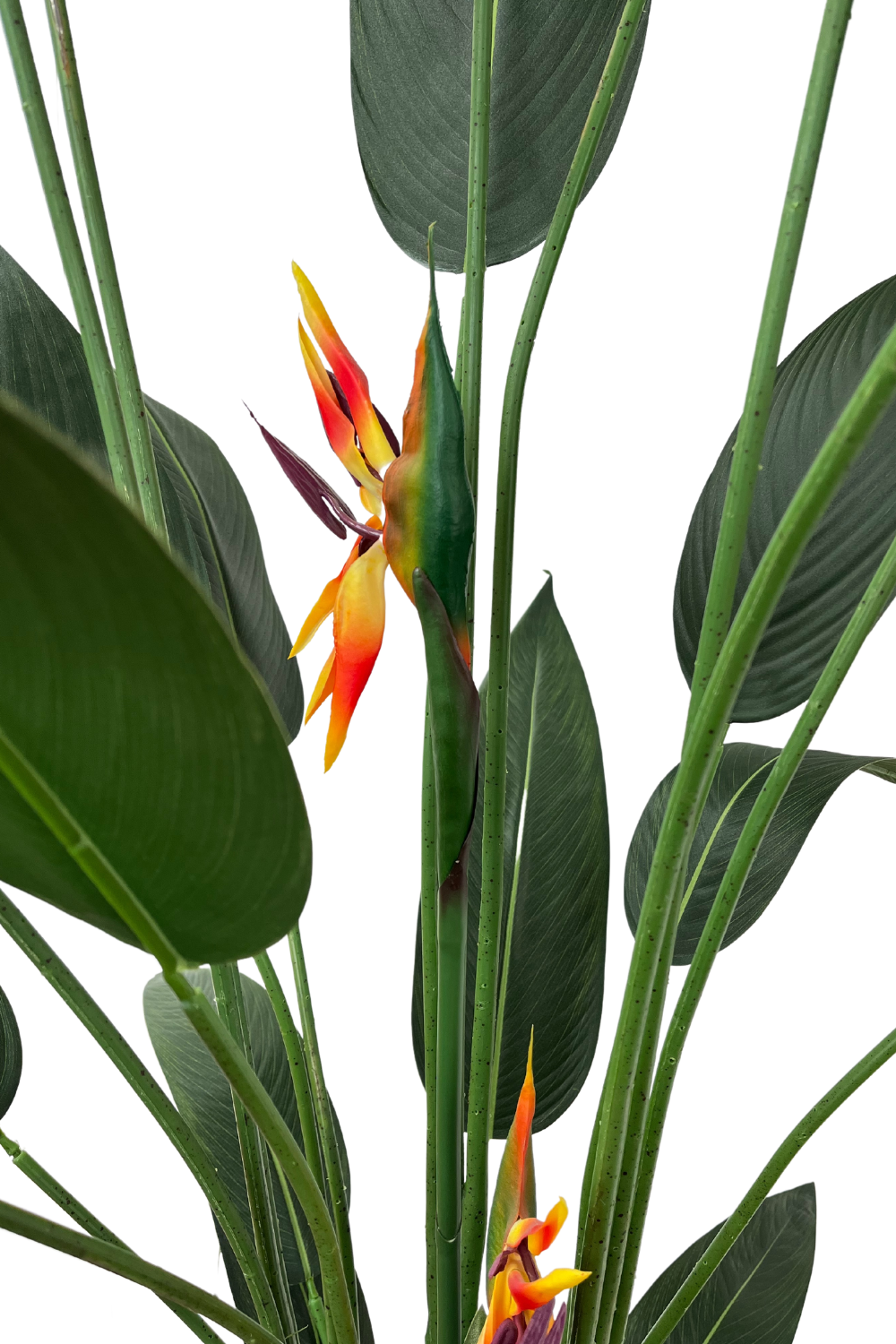 Strelitzia artificielle avec fleur 180 cm