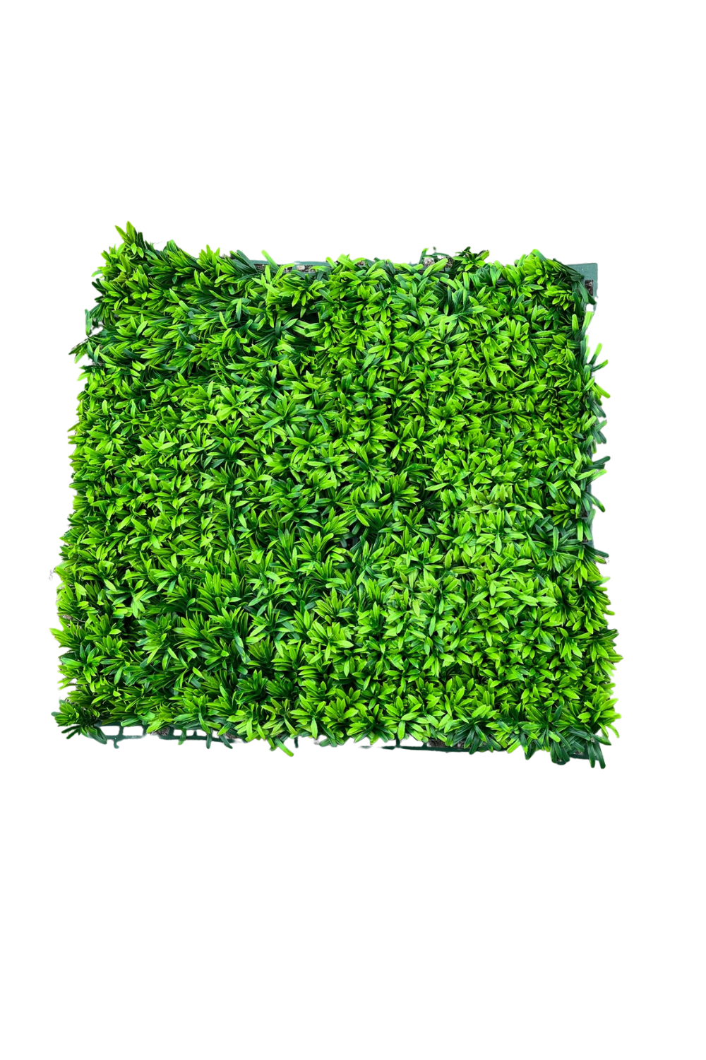 Haie artificielle verte 50x50 cm avec protection UV