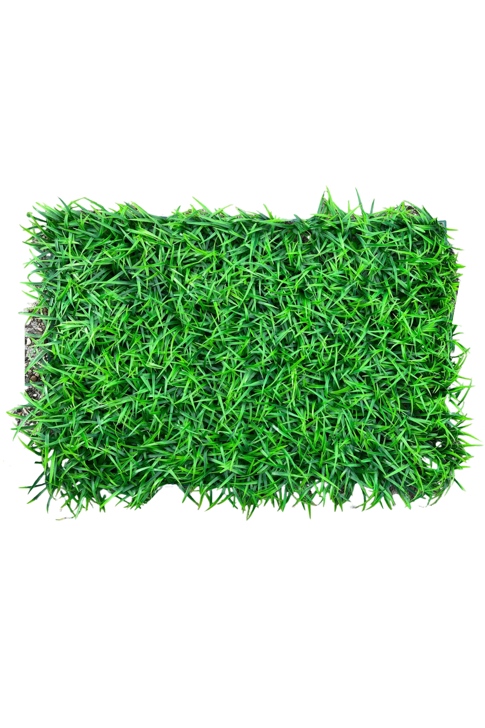 Haie Artificielle Herbe 60x40 cm