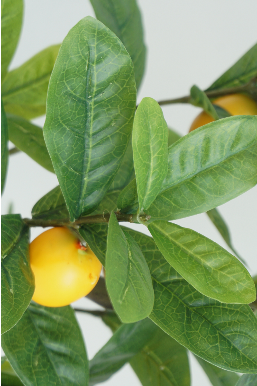 Feuille du Citronnier Artificiel 75cm