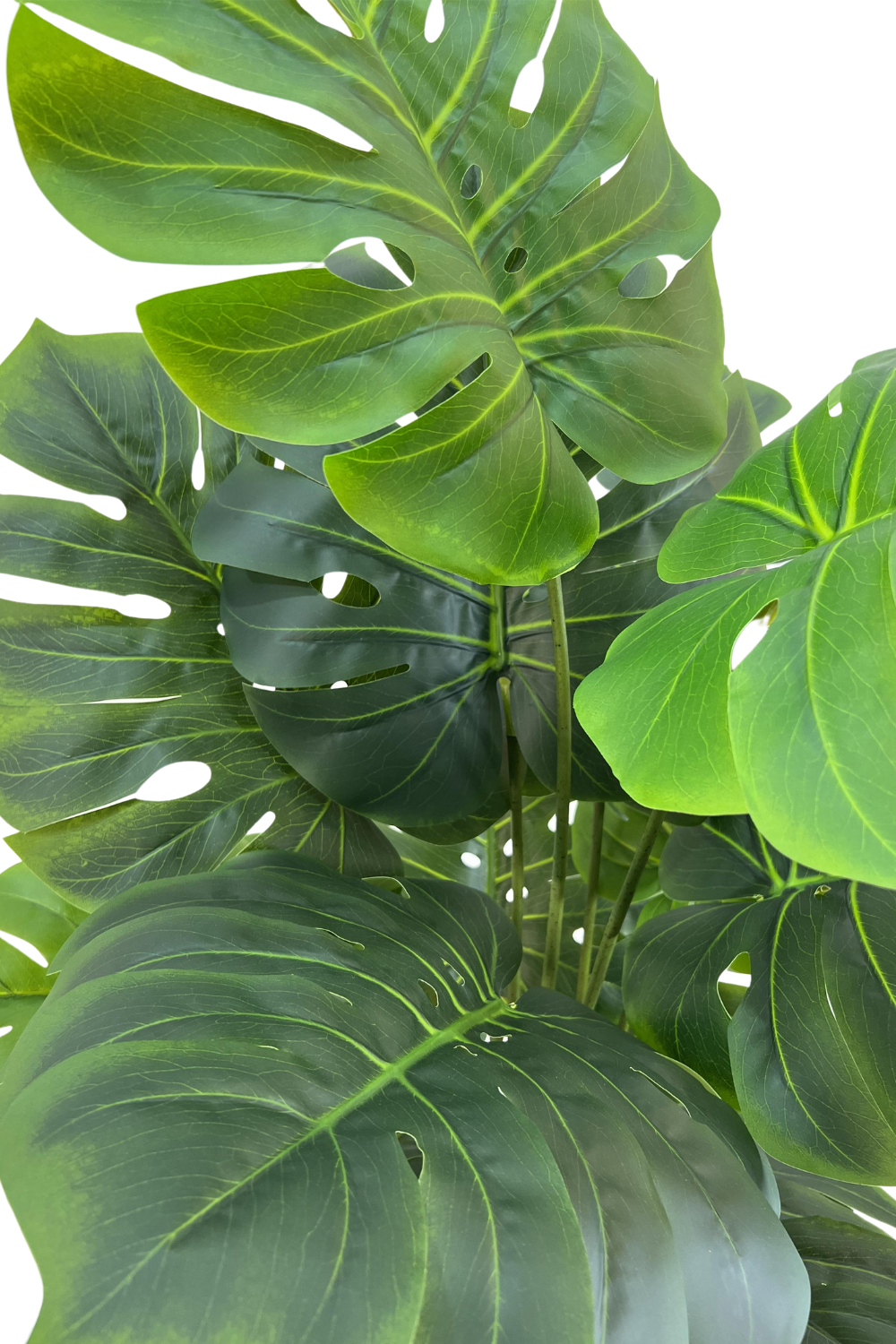 Feuilles de la Monstera Artificielle 145cm