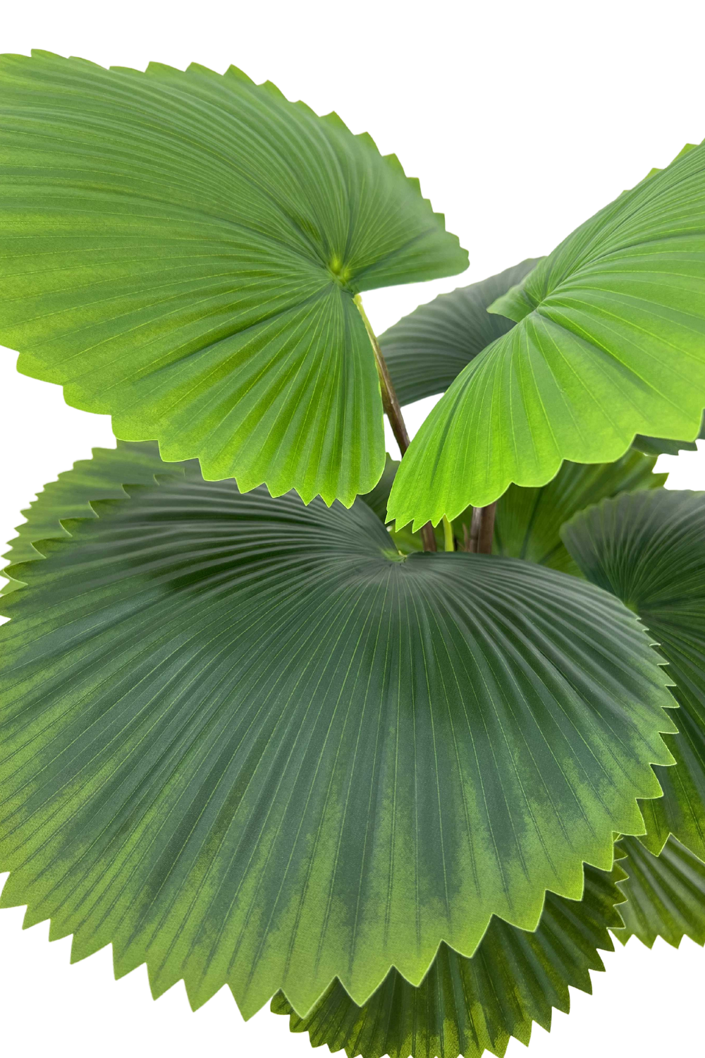 Feuilles du Palmier Éventail Artificiel 90cm