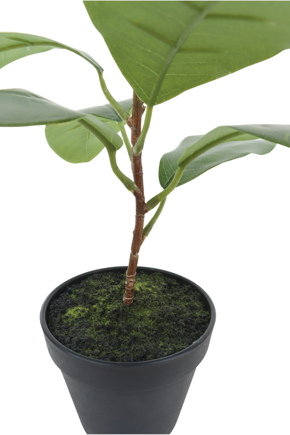Tronc du Ficus Artificiel 35cm