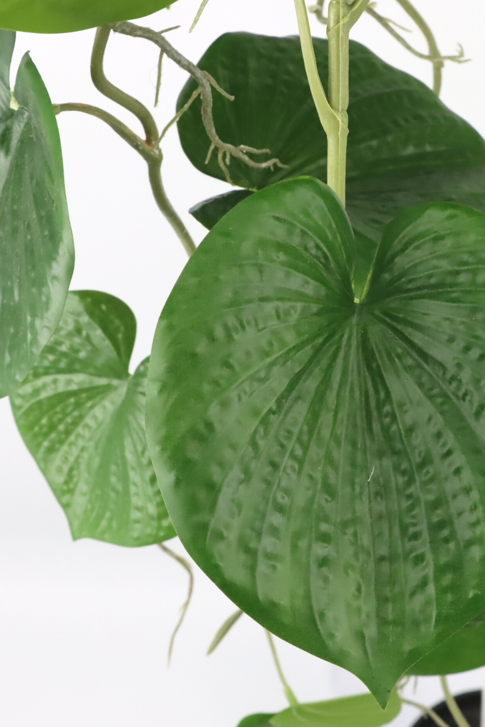 Feuille de la Neocheiropteris Artificielle Suspendue 80cm