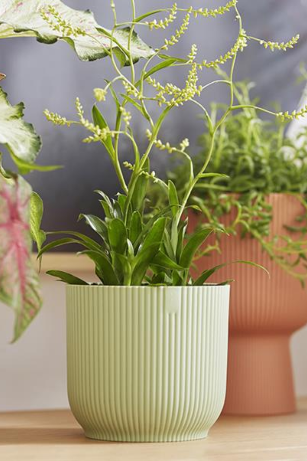 Détails du Pot de fleur Elho Vibes Fold rond 16 cm Vert Sorbet