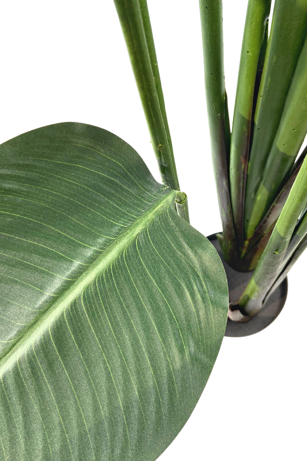 Strelitzia artificielle 180 cm