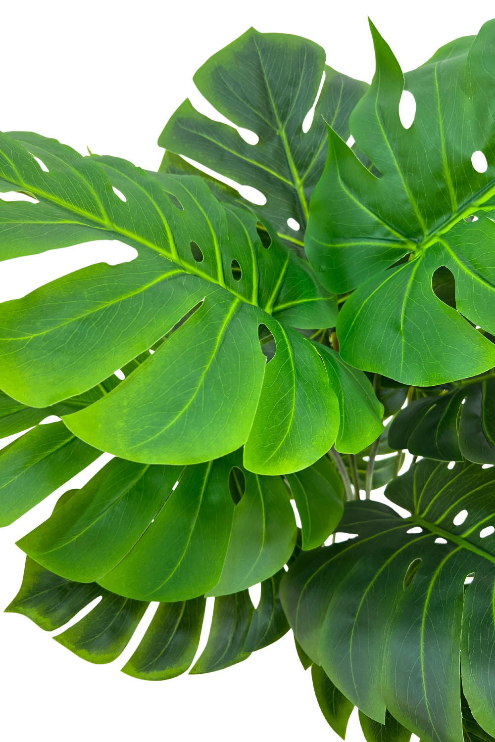 Feuille de la Monstera Artificielle 120cm