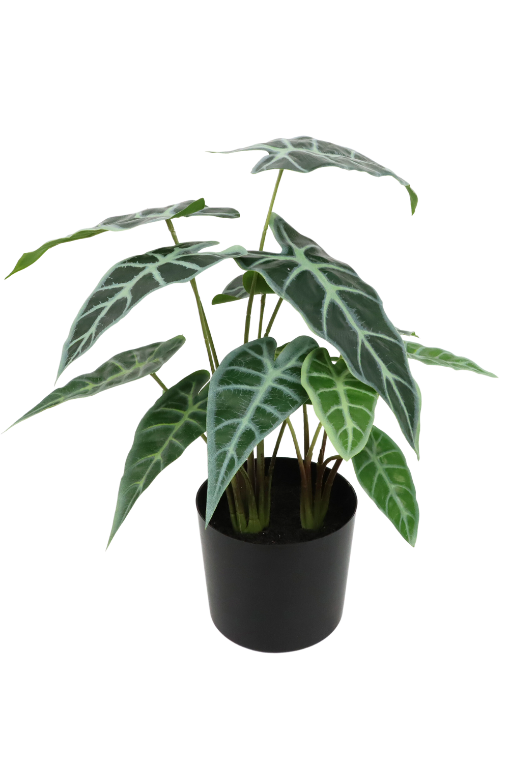 Caladium Artificiel 38cm