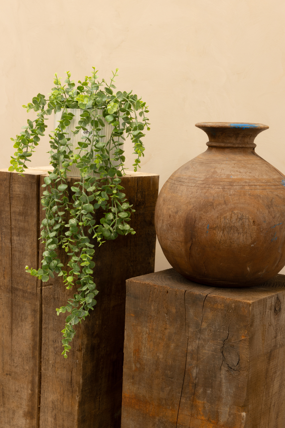 Photo d’ambiance de l’Eucalyptus Artificiel Suspendu 60cm