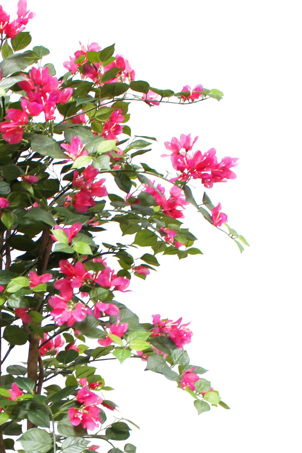 Bougainvillier Artificiel 150 cm
