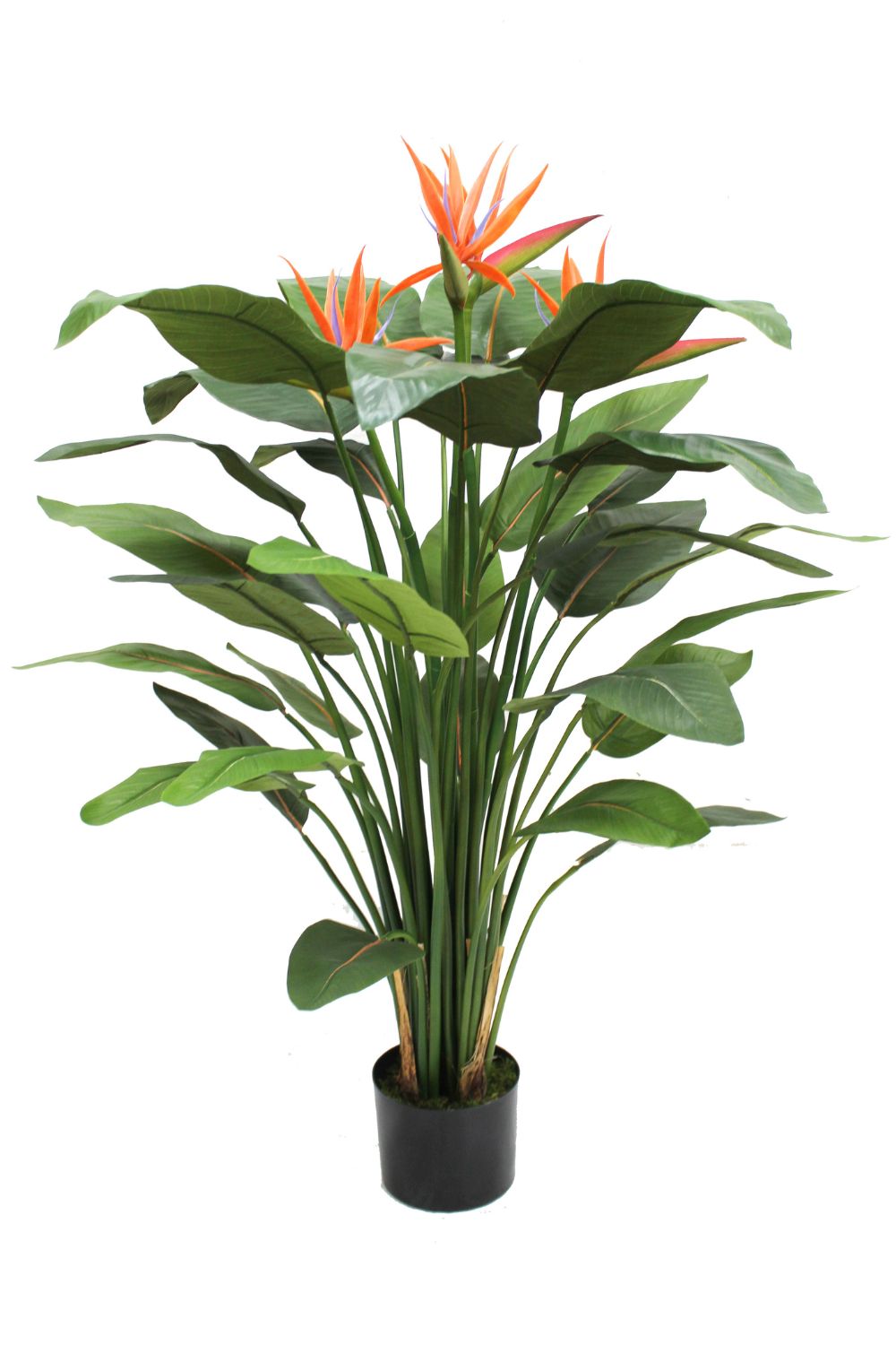 Strelitzia Artificielle 120cm avec fleur