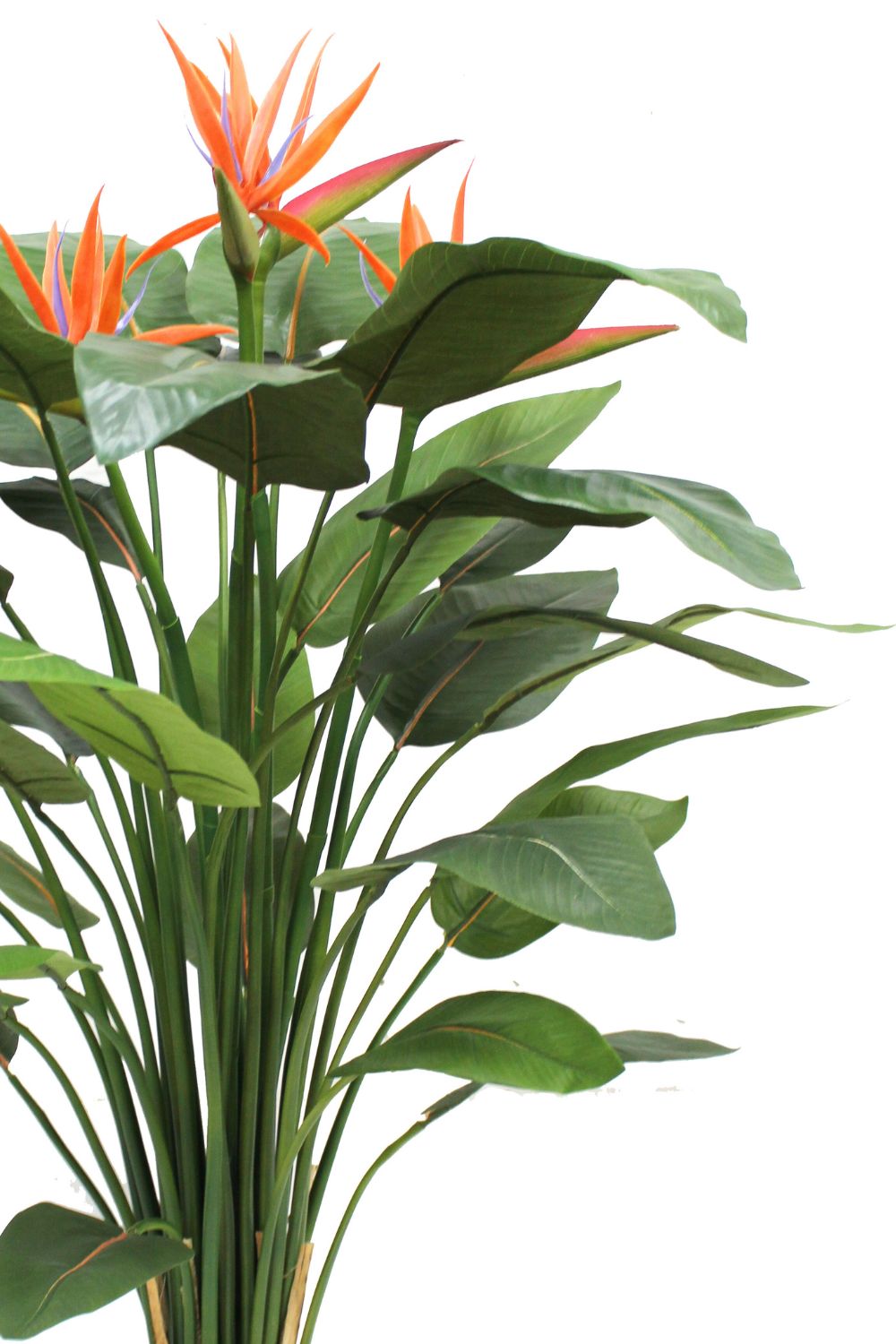Détails du Strelitzia Artificielle 120cm avec fleur
