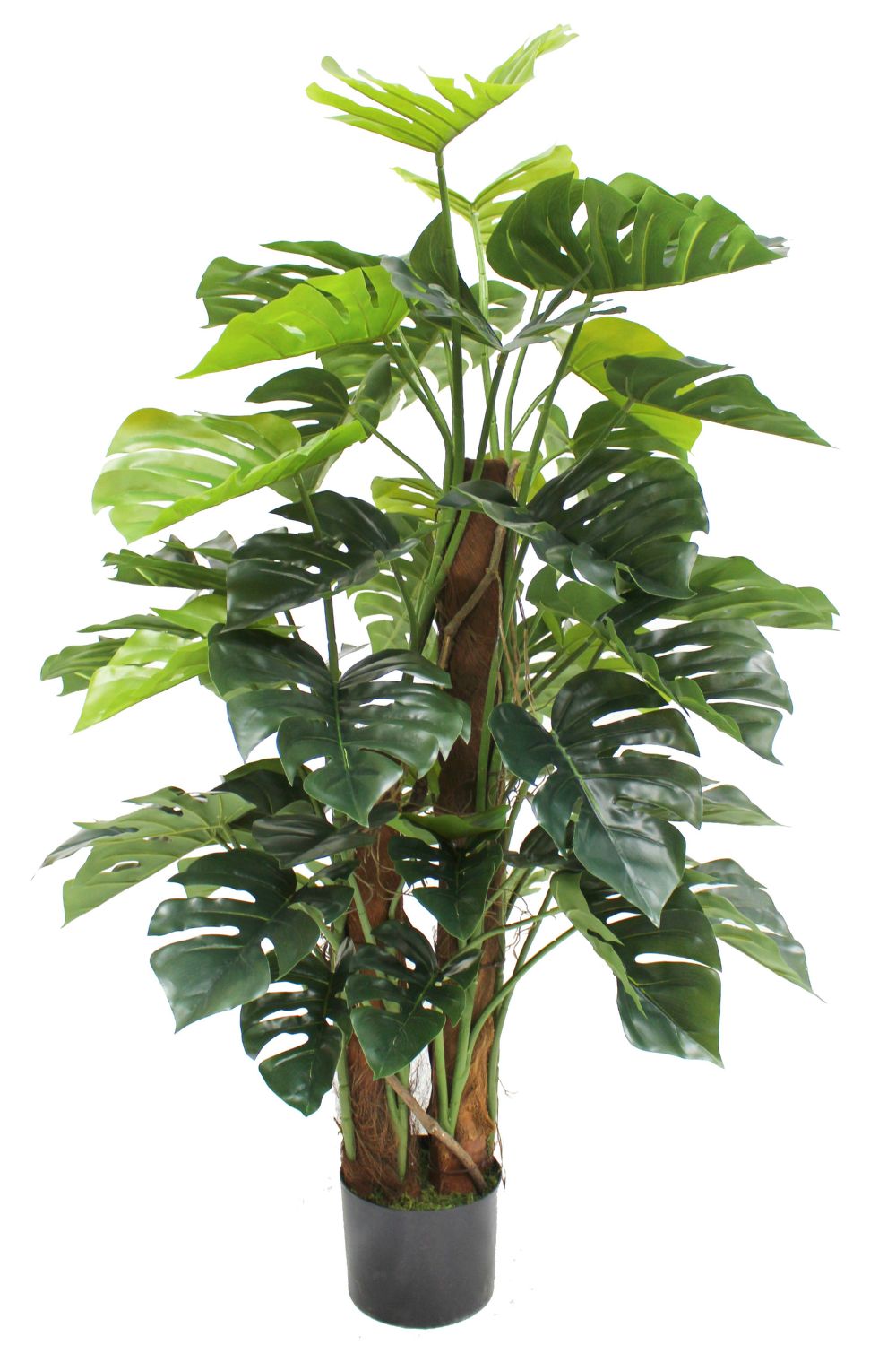 Monstera Artificielle 120cm