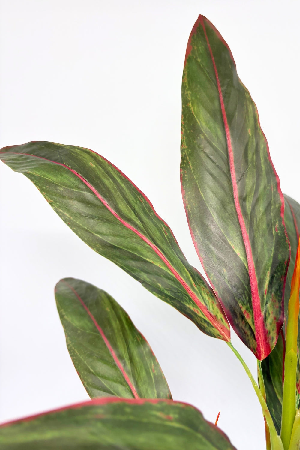 Cordyline artificielle 50 cm