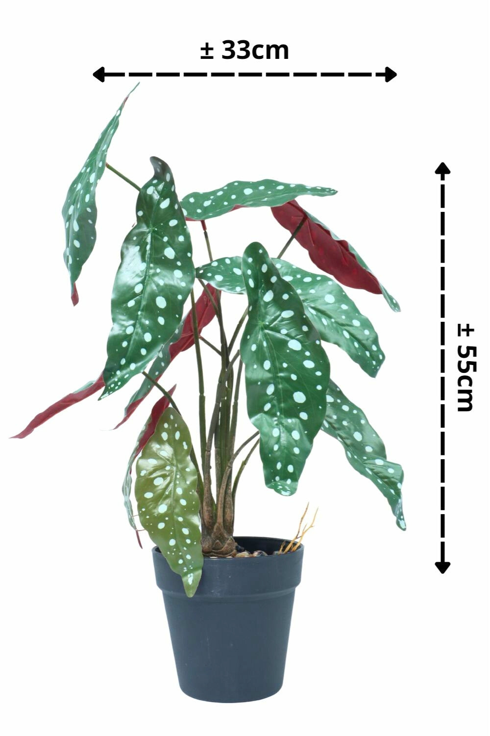Plante artificielle Bégonia Maculata 55 cm