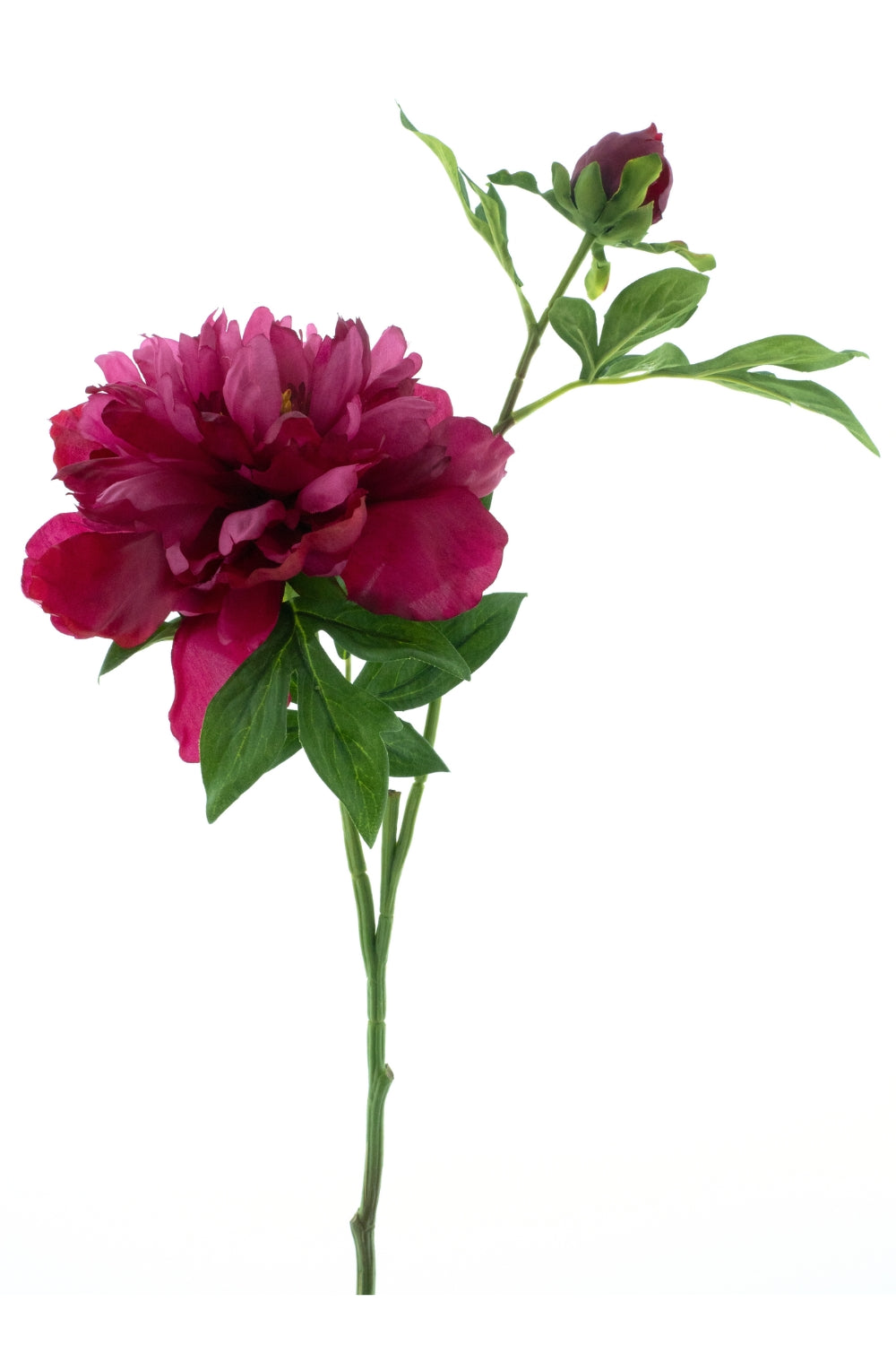 Pivoine Fleur Artificielle 65cm Fuchsia