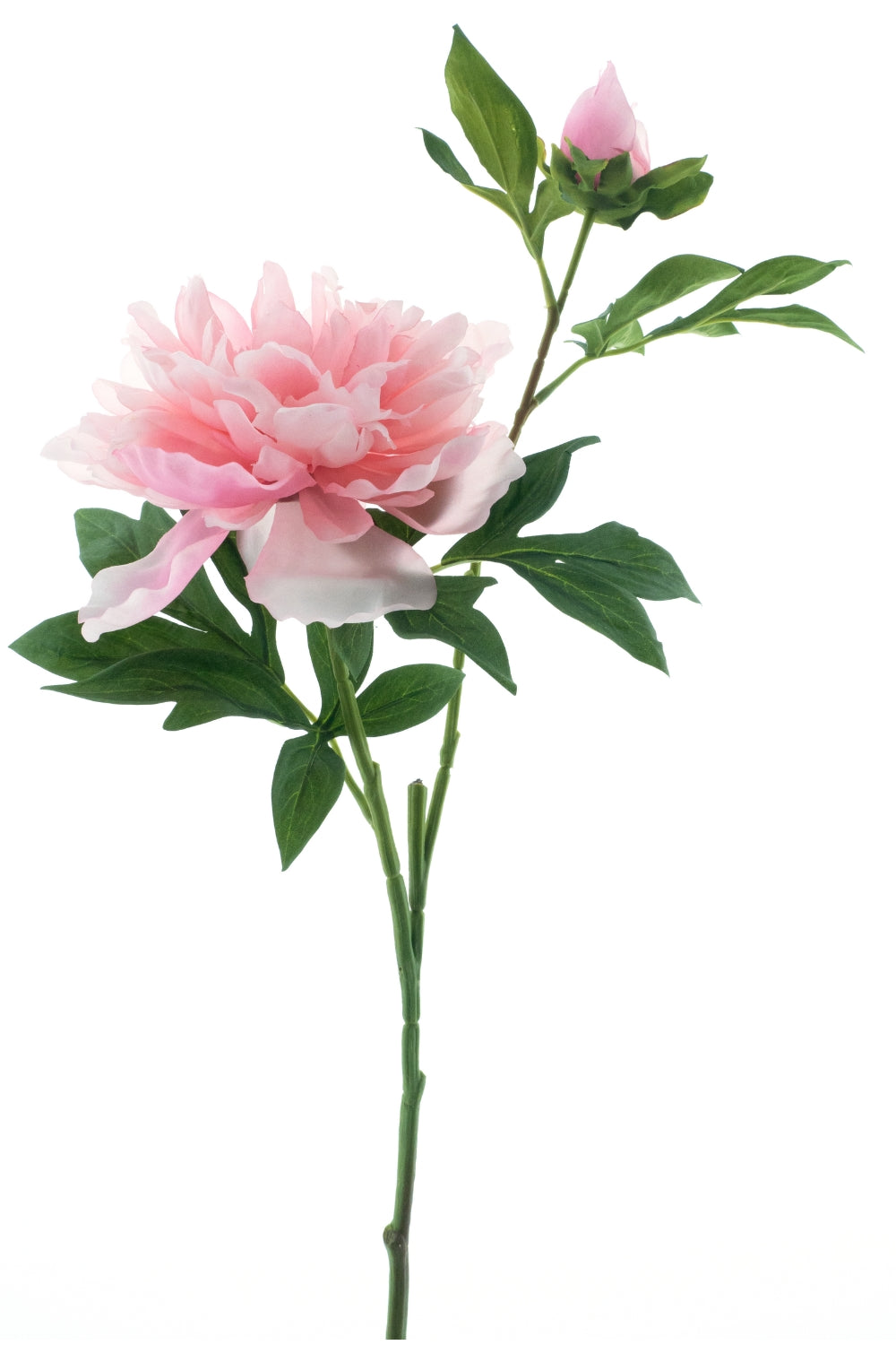 Pivoine Artificielle 65cm Rose
