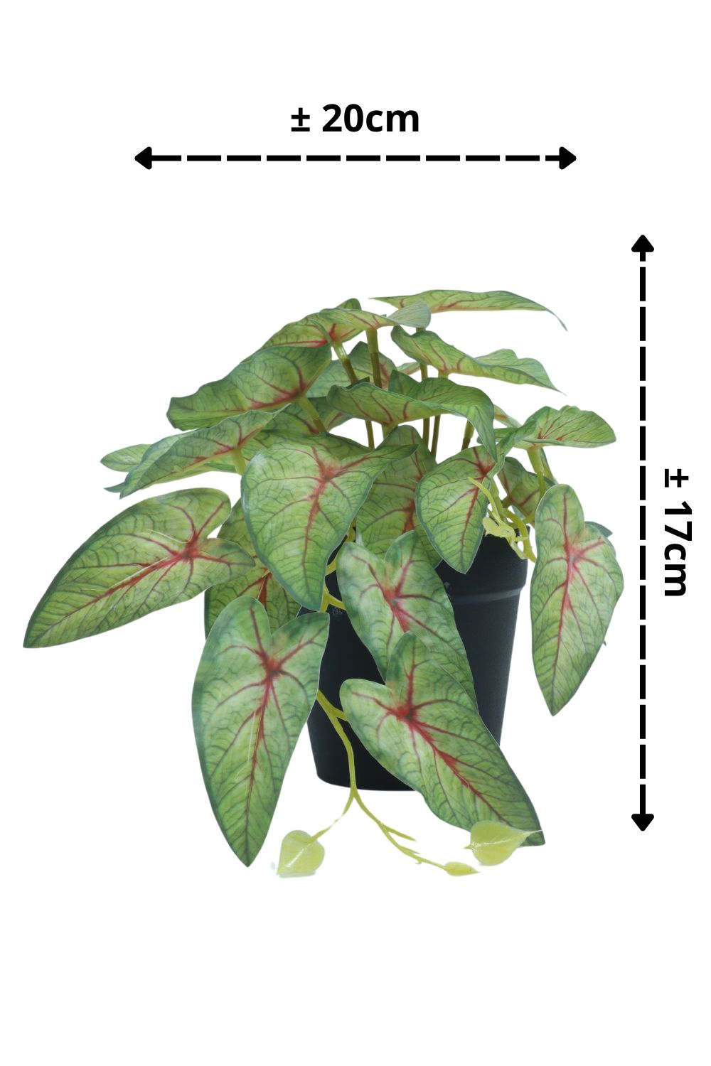 Plante artificielle Caladium 17 cm