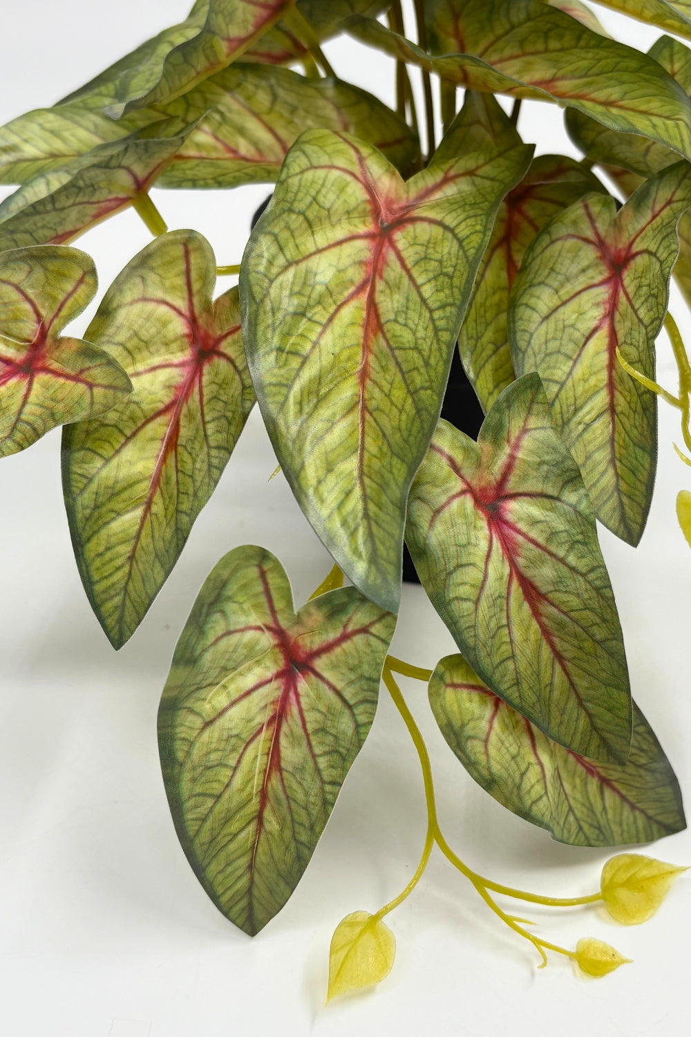 Plante artificielle Caladium 17 cm