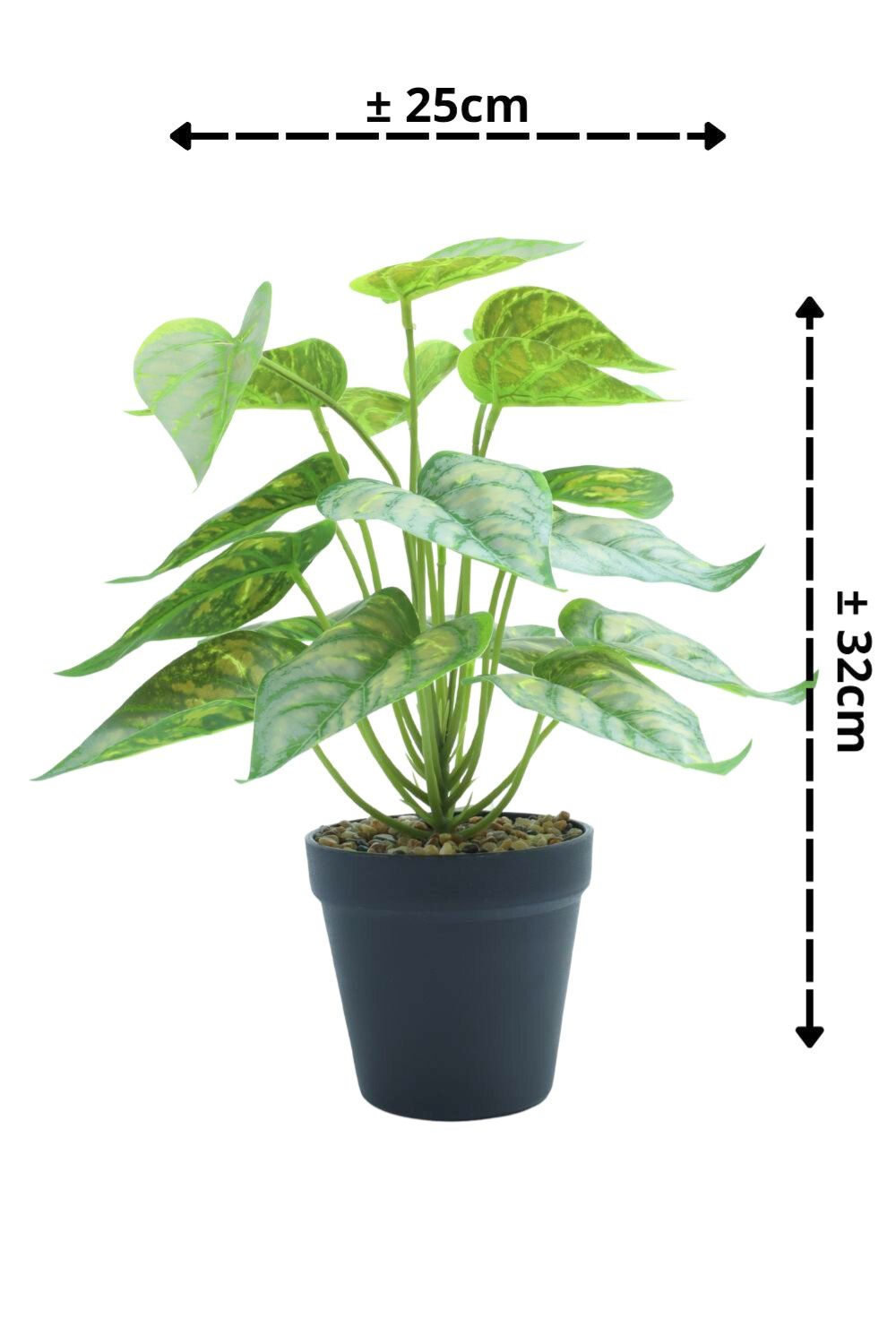 Plante artificielle Caladium 32 cm - prettyplants