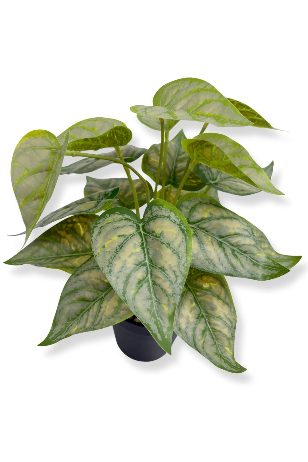 Plante artificielle Caladium 32 cm - prettyplants