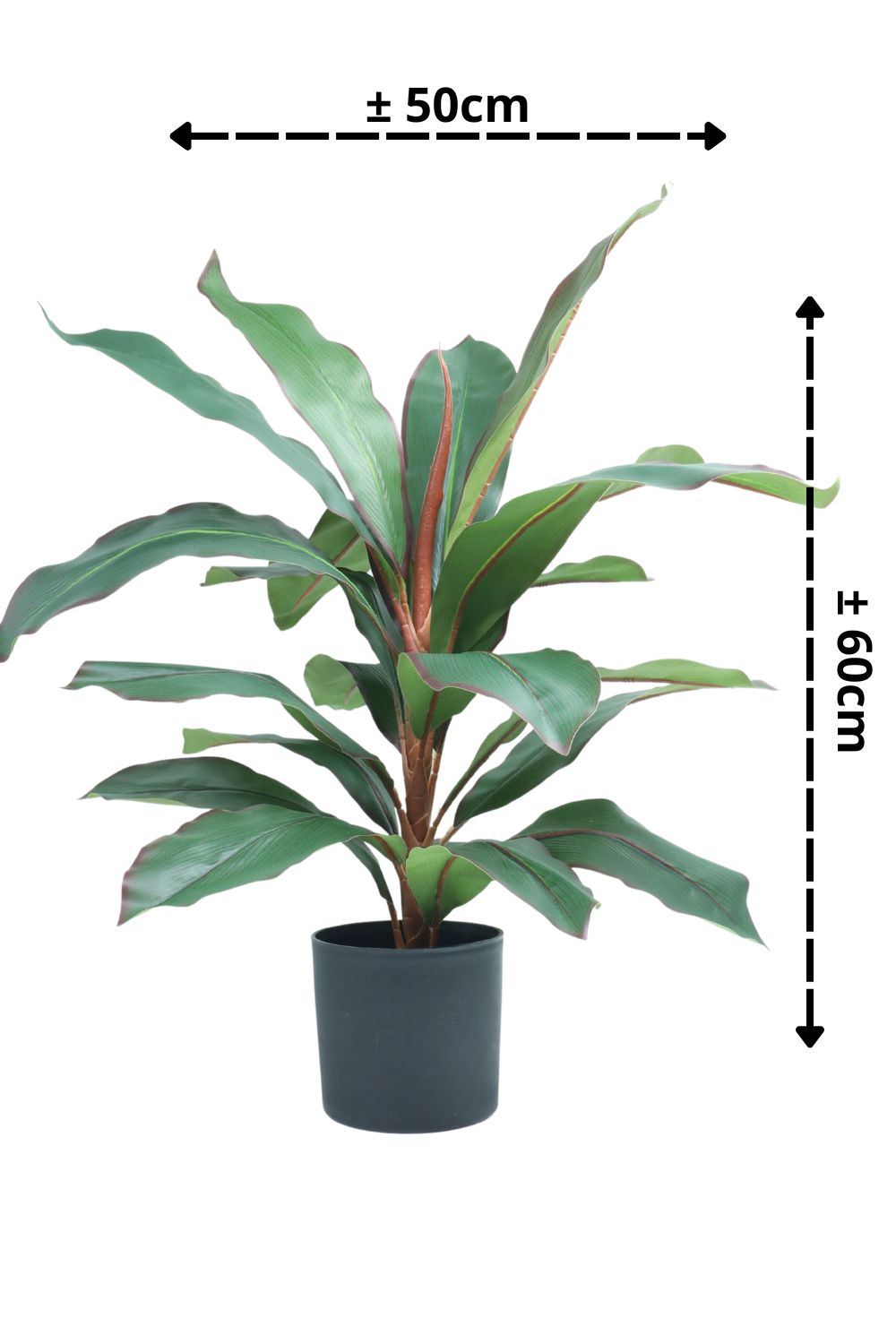 Plante artificielle Dracaena 60 cm