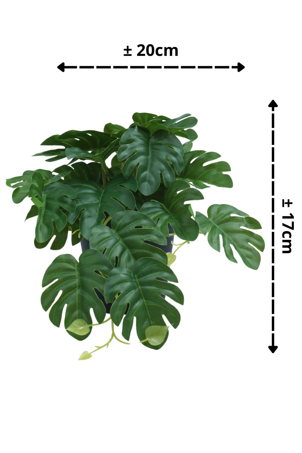 Plante artificielle Monstera 17 cm - prettyplants
