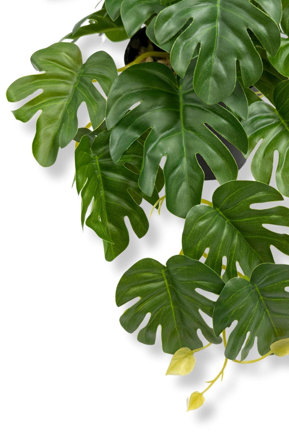 Plante artificielle Monstera 17 cm - prettyplants