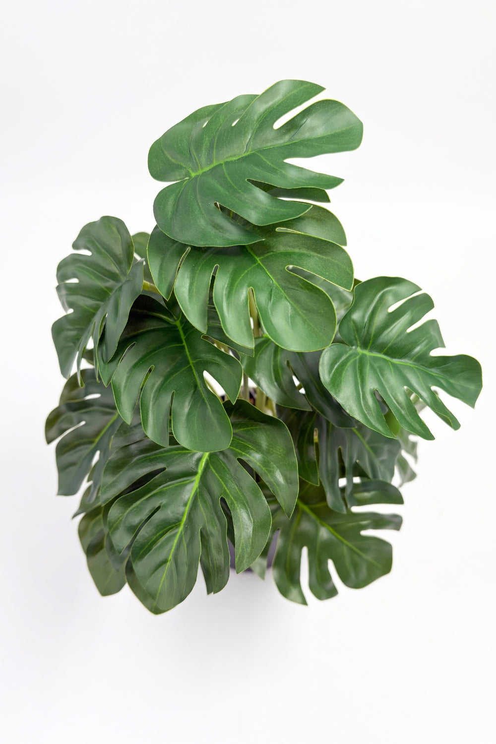 Plante artificielle Monstera 32 cm - prettyplants