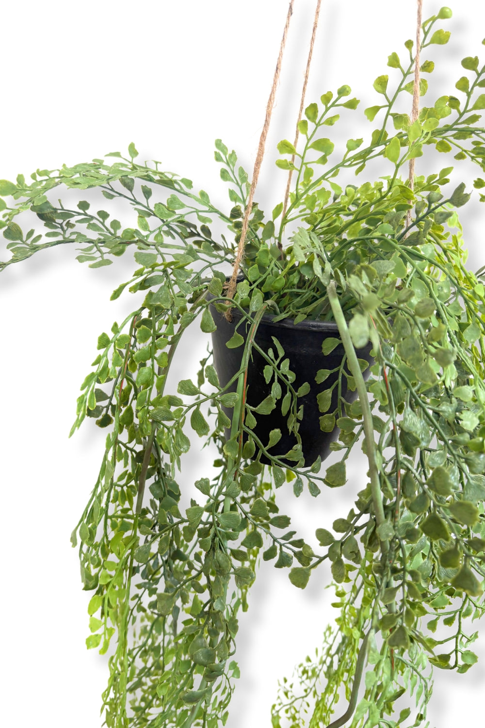 Plante artificielle suspendue Adiantum 110 cm