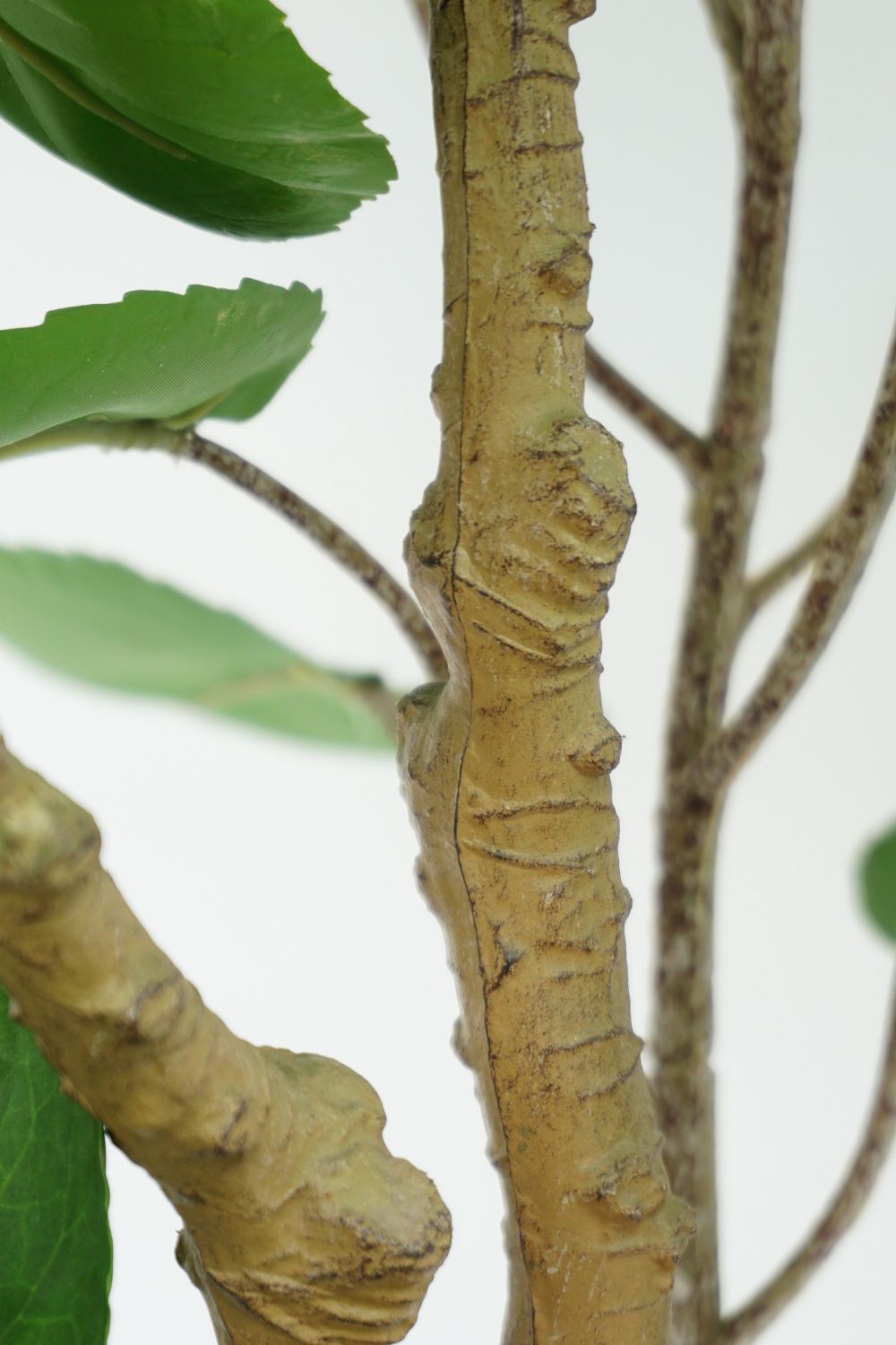 Tronc du Polyscias Artificiel 110cm